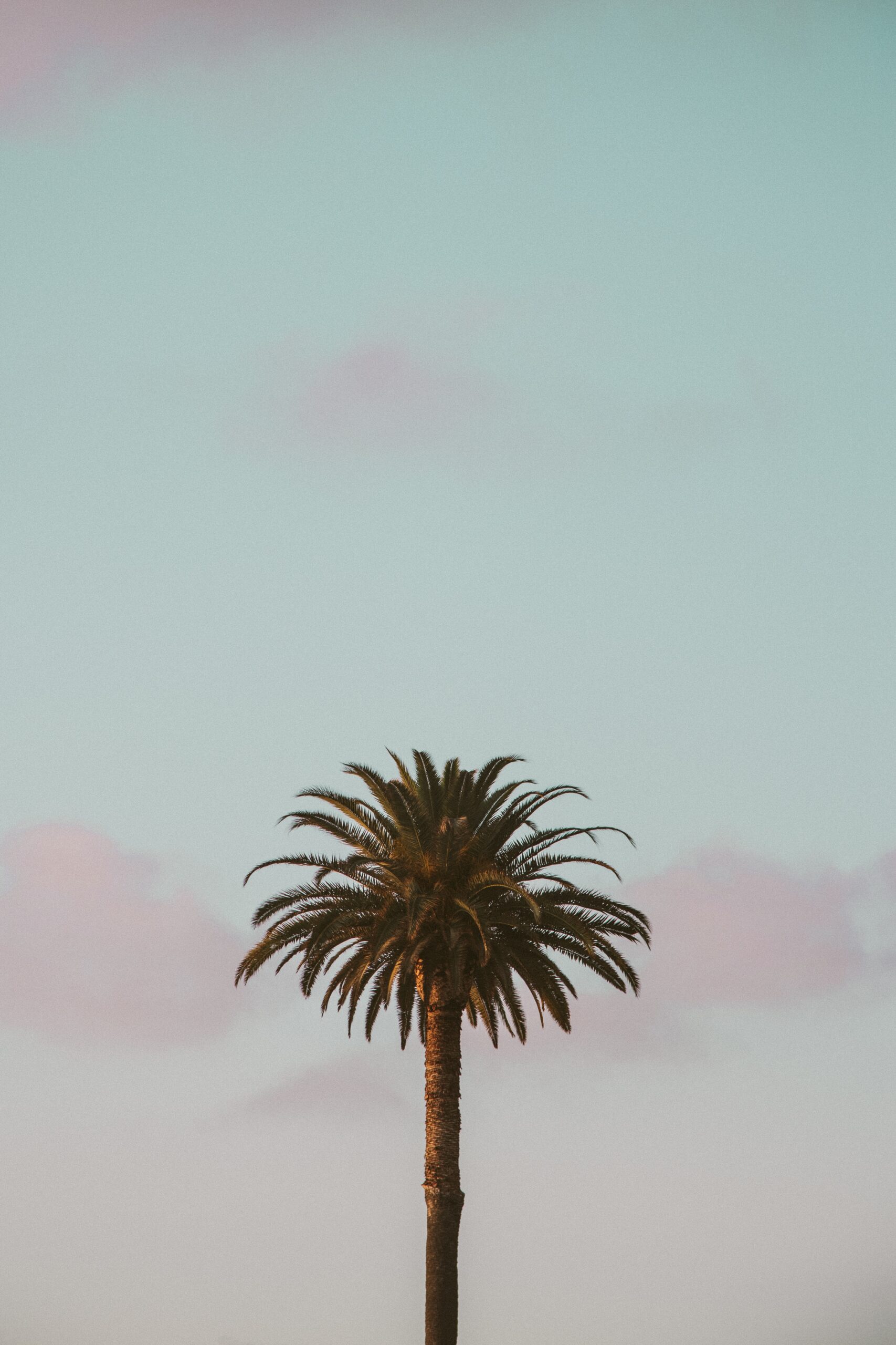 Dentist Near Me Palo Alto California