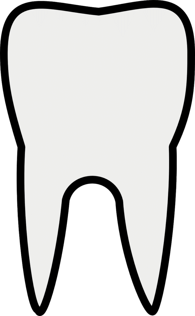 Dentist Near Me Murfreesboro Tennessee