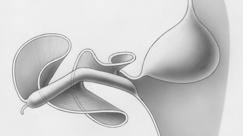 Photo Digestive system