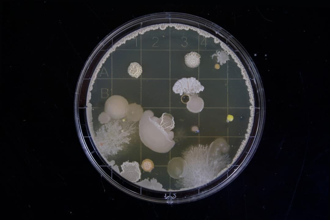 Photo Throat bacteria