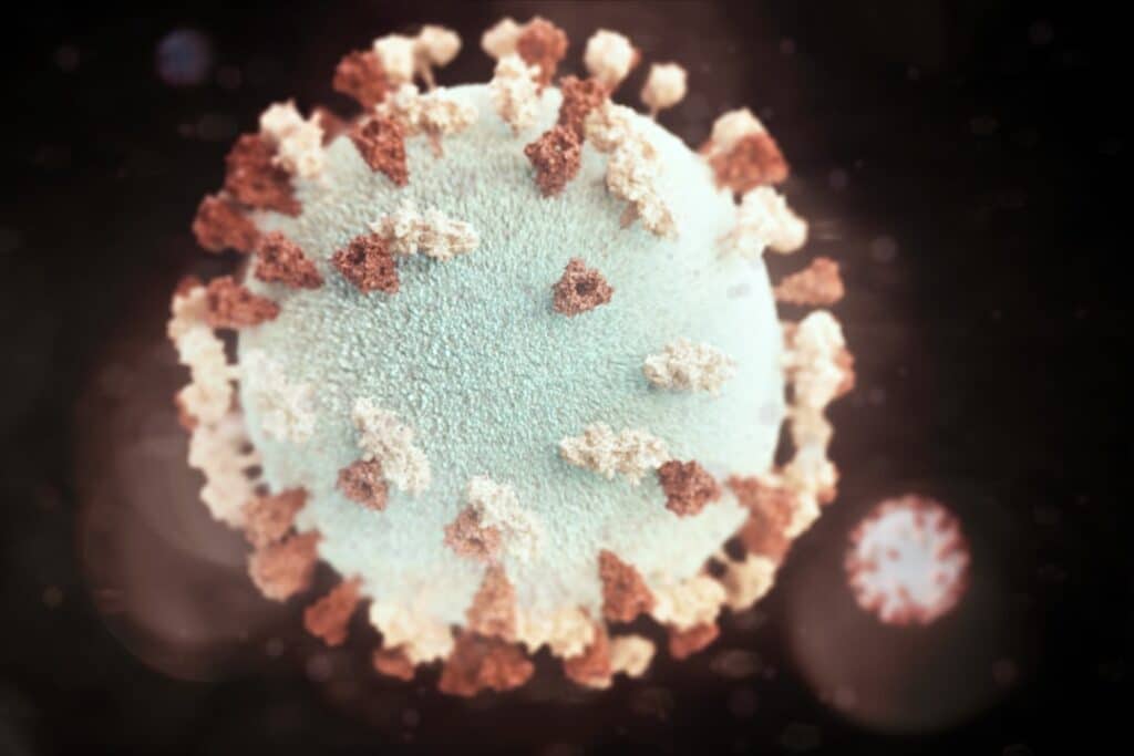 Photo Oral bacteria