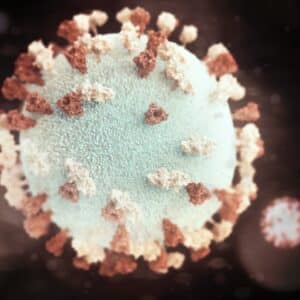 Photo Oral bacteria