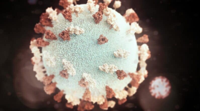 Photo Oral bacteria