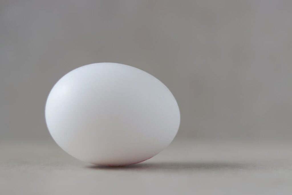 Photo Eggshell comparison