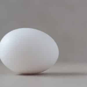 Photo Eggshell comparison