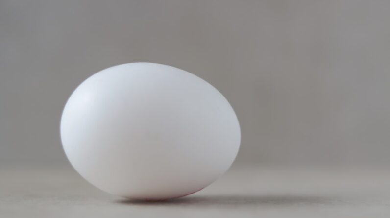 Photo Eggshell comparison