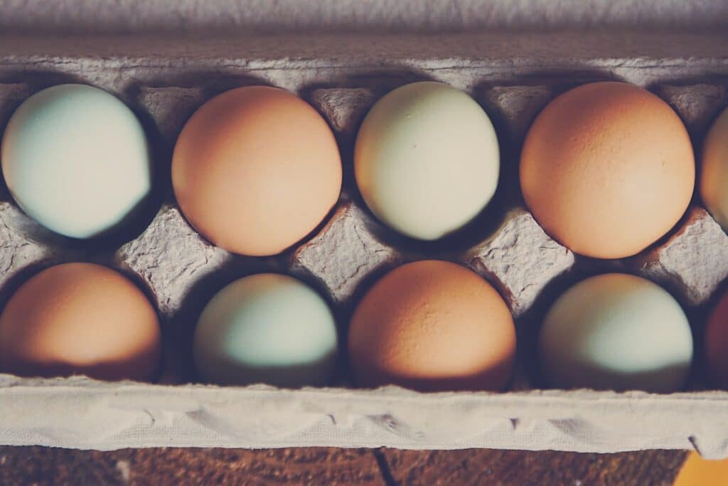 Photo Decayed eggshell