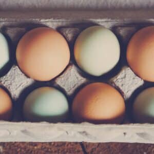 Photo Decayed eggshell