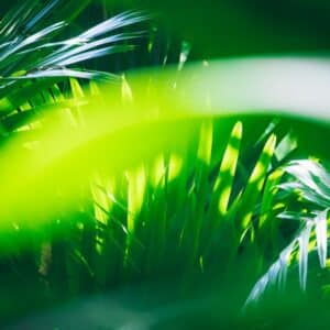 Photo Eggshell experiment