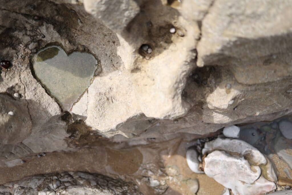 Photo Eggshell erosion