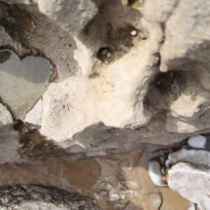 Photo Eggshell erosion