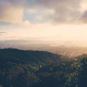 Photo Microscopic view