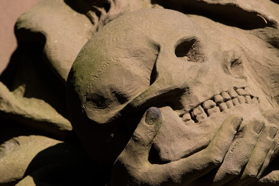 Photo Tooth with crown