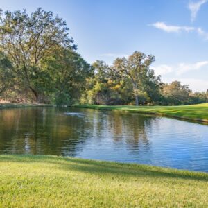 Photo Streptococcus mutans