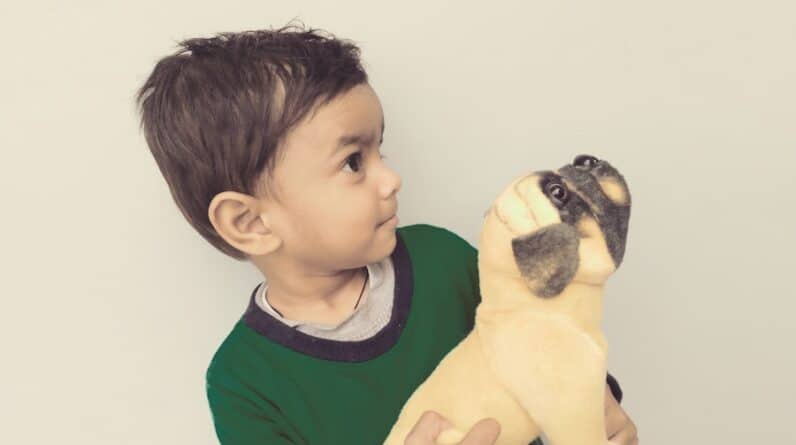 Photo "Exploring the World of Pediatric Dentistry"