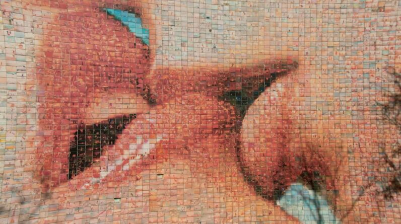 Photo Dentist Plainfield Illinois