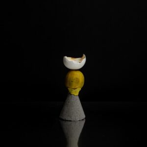 Photo Dental Care for People with Implants