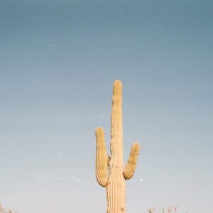 Photo Dentist Palm Desert