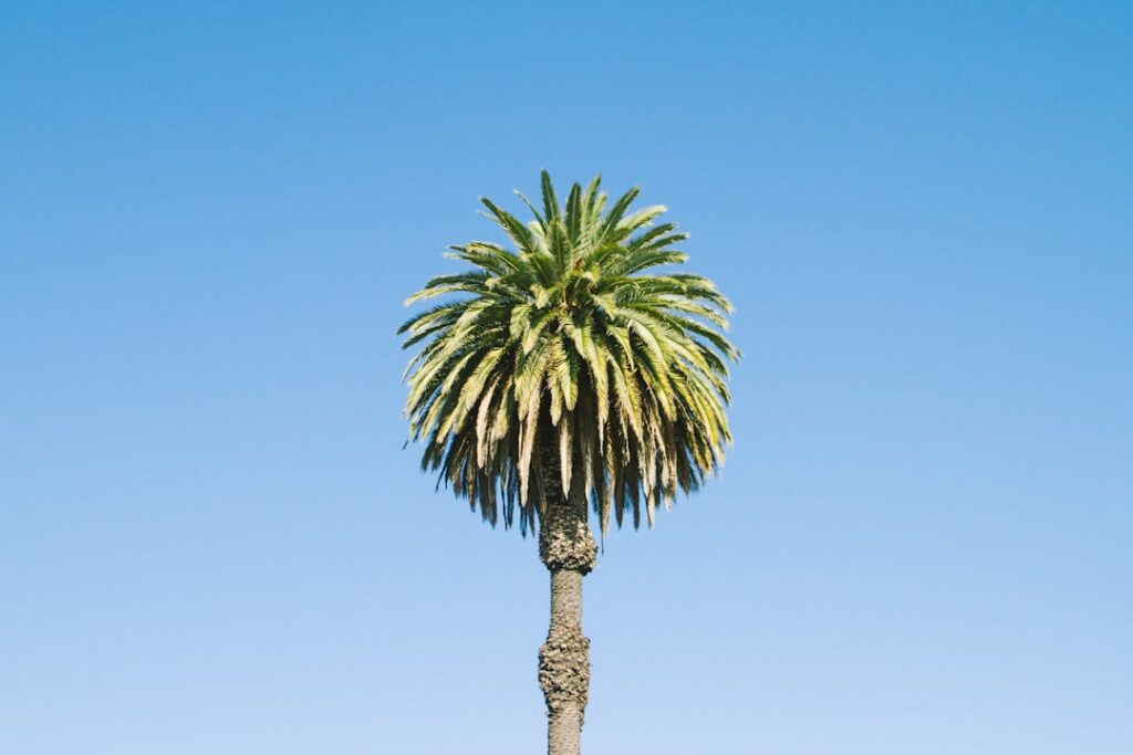 Photo Dentist Dublin California