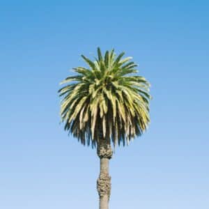 Photo Dentist Dublin California