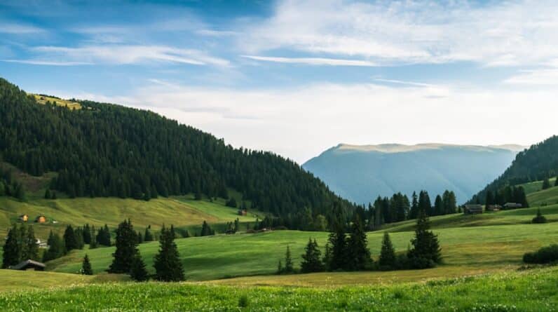 Photo Invisalign Treatment