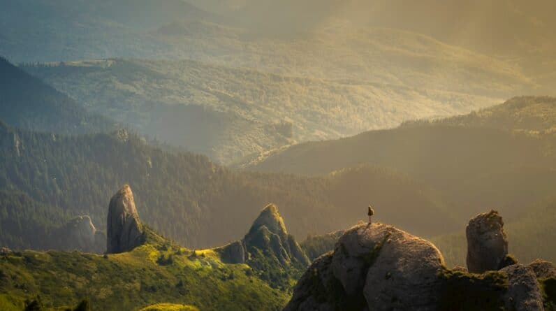 Photo Smile Makeover