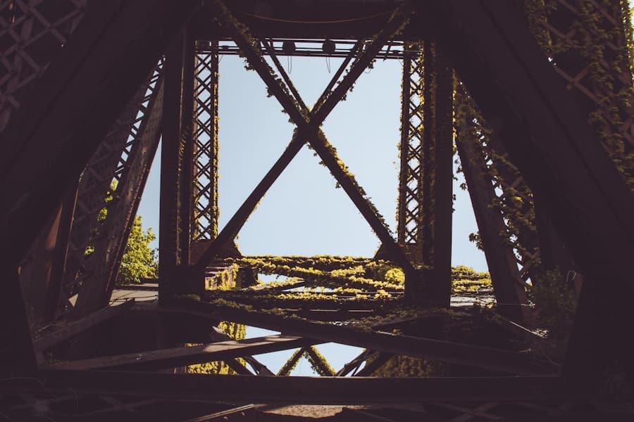 Photo Crowns and Bridges