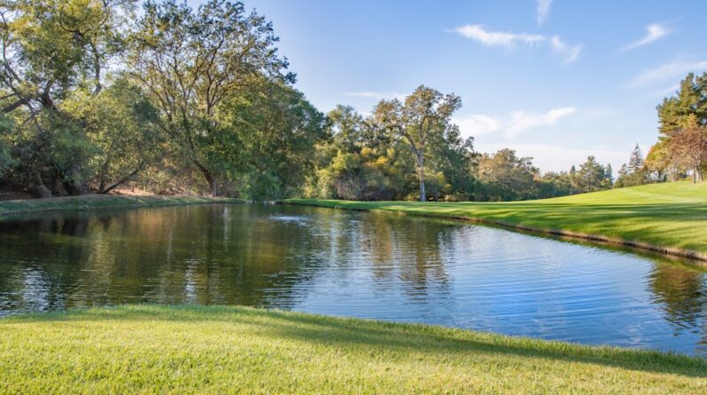 Photo Dentist Allen Texas